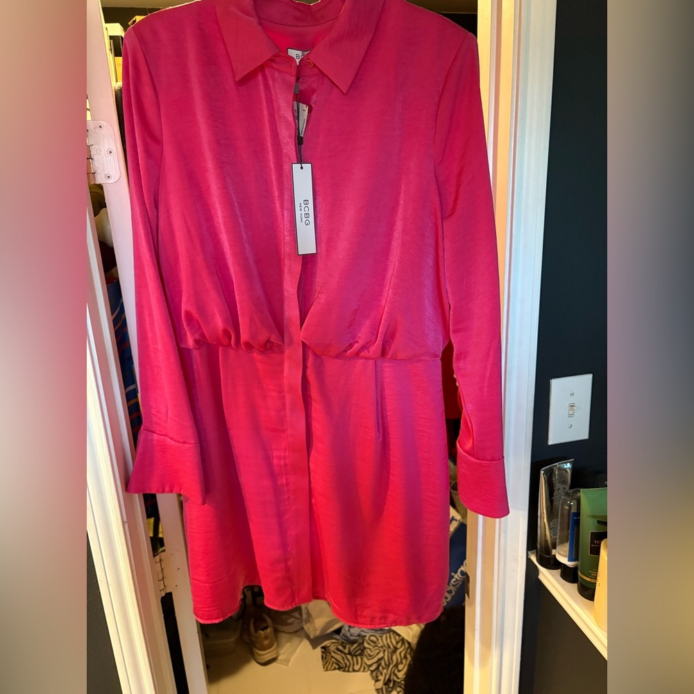 BCBG Fuchsia Dress